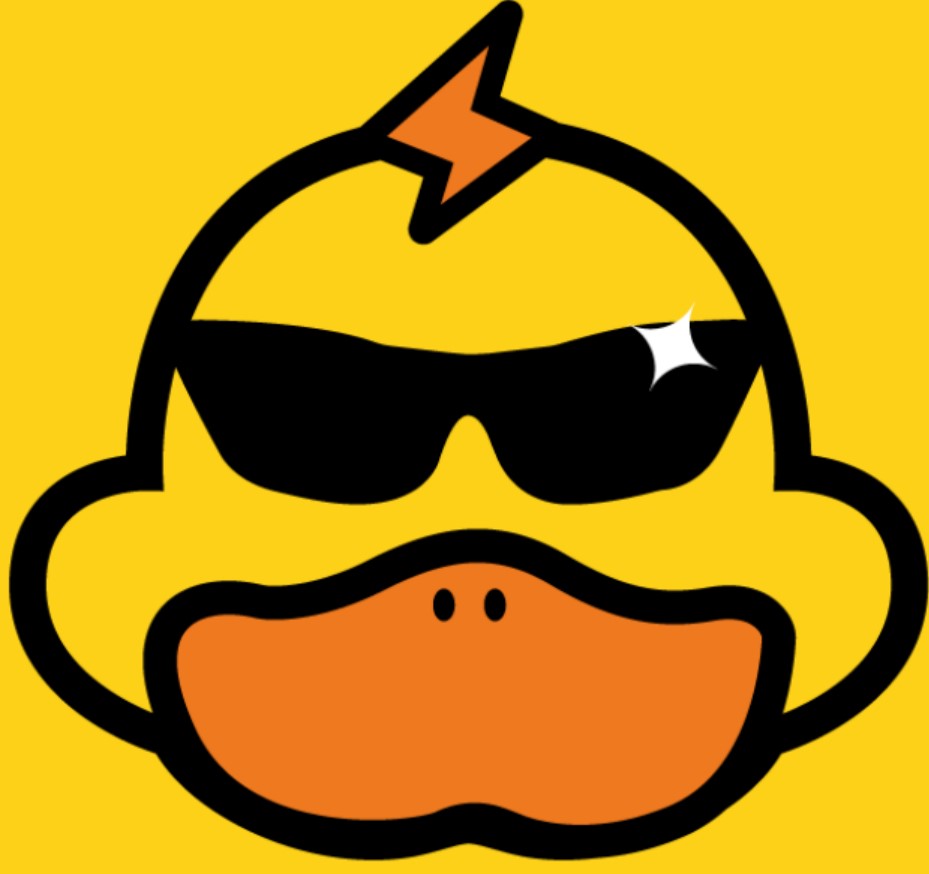 快鸭vpn电脑版下载